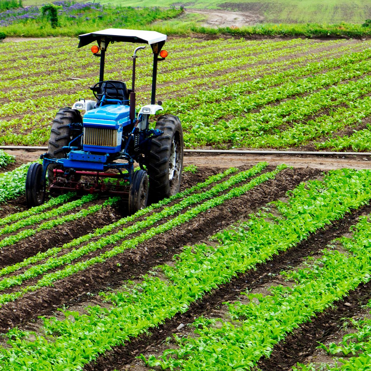 Agriculture Climate Change Connection