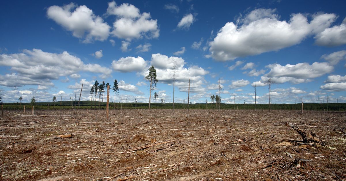 Escaping Agricultural Sacrifice Zones Center for Nutrition Studies