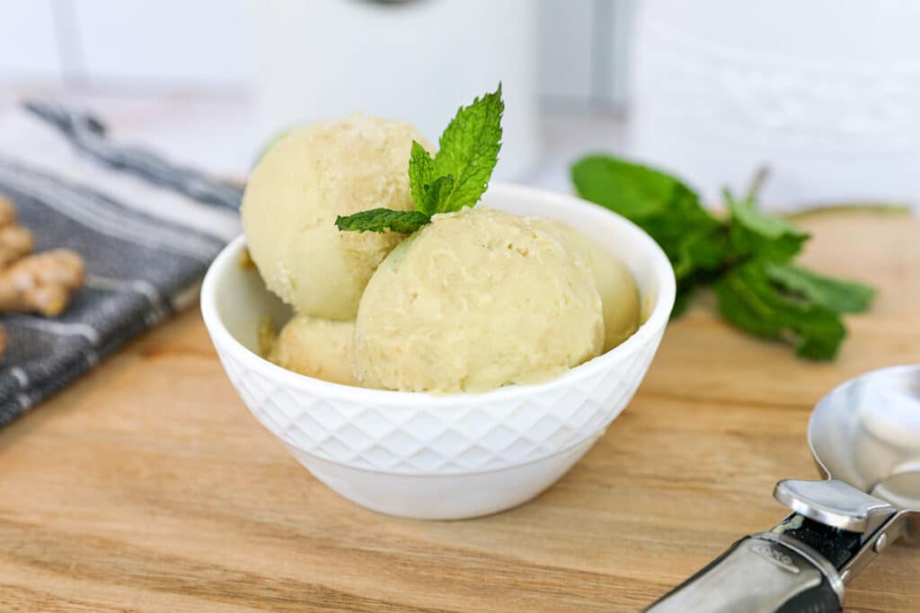 Homemade Ice Cream - Korosol/Soursop — Sabine's