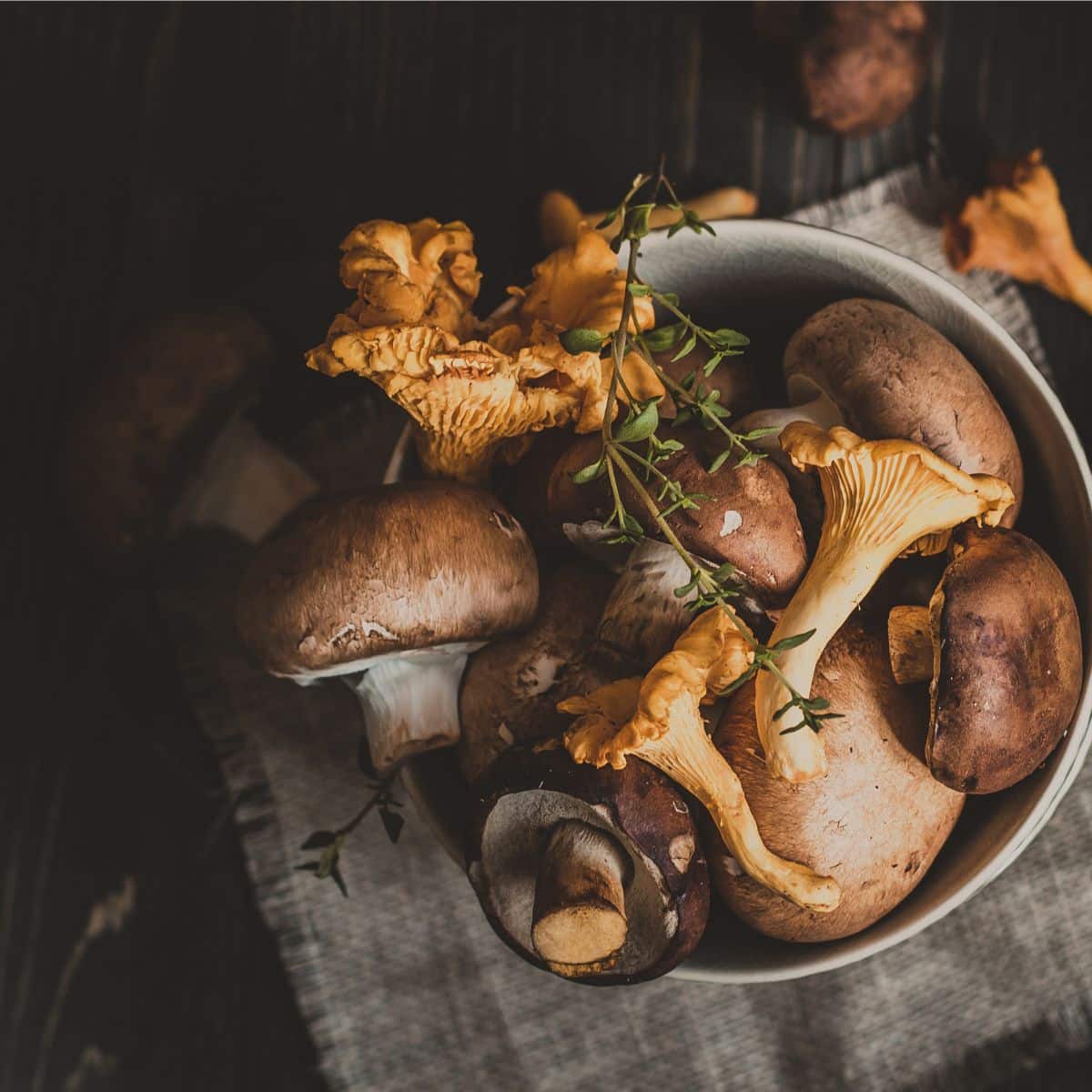 do mushrooms have vitamin d