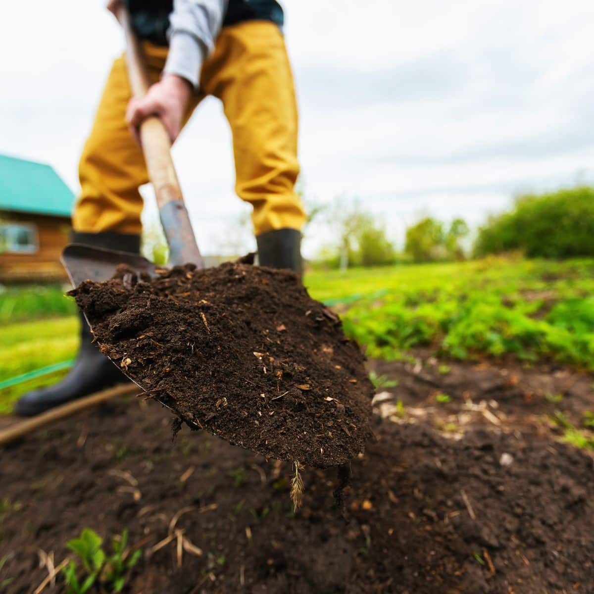 soil degradation