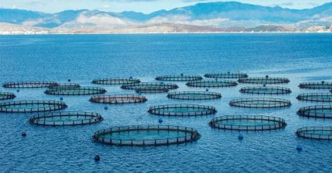 Fish Farming and Aquatic Life