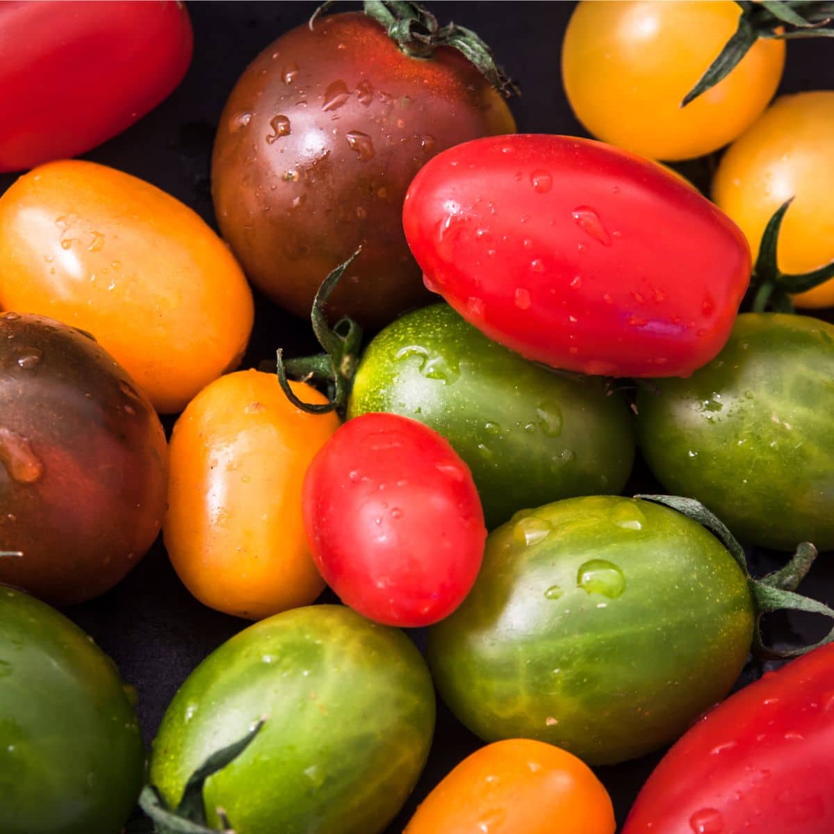 food biodiversity